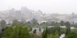 Lee más sobre el artículo Fuertes vientos causaron caídas de árboles y postes en Neuquén