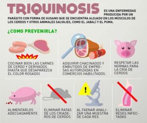 Lee más sobre el artículo “El animal no muestra ningún síntoma de enfermedad de triquinosis, lo único que nos garantiza su estado sanitario es el análisis de la carne”