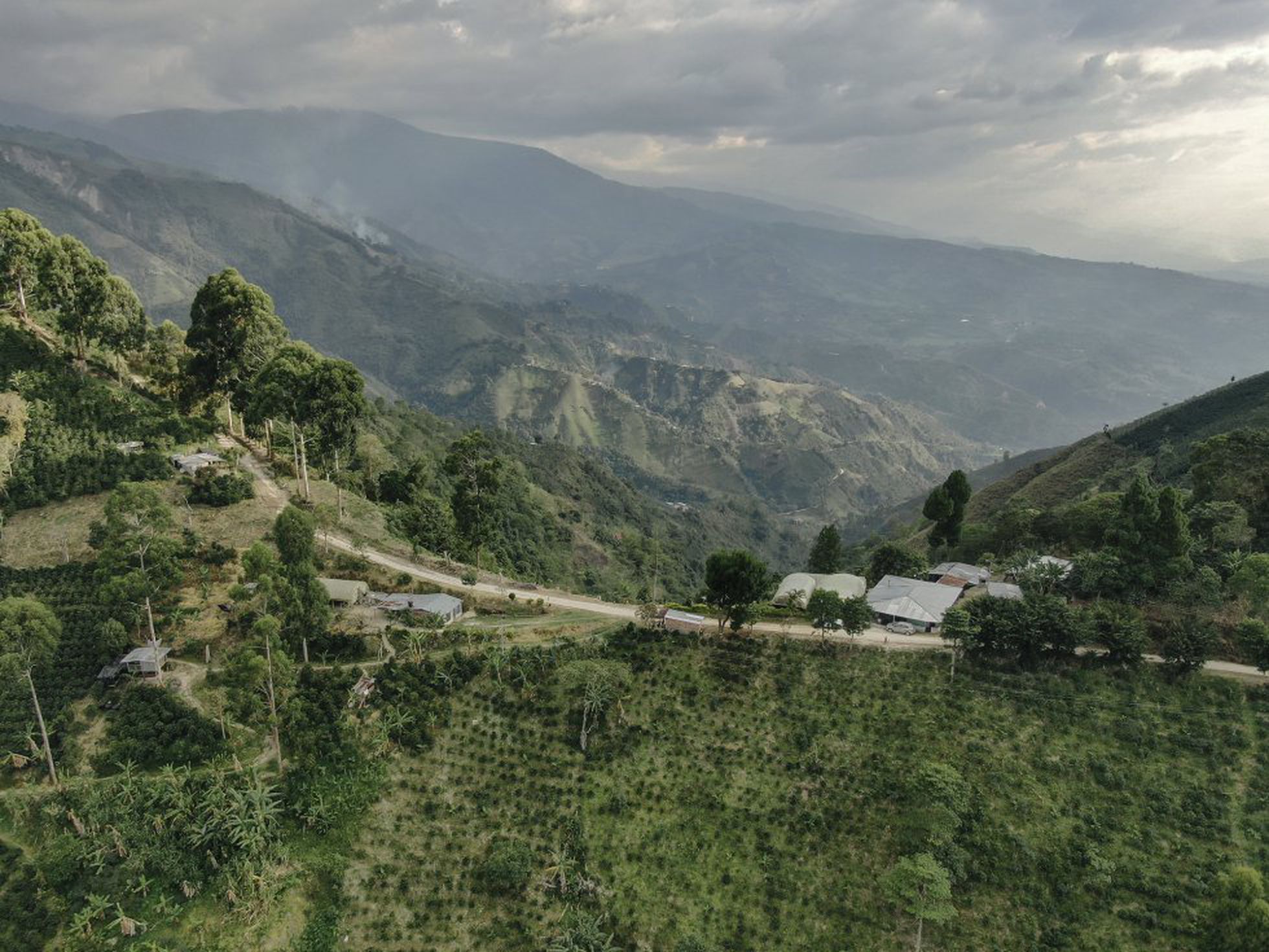 Lee más sobre el artículo Una nueva matanza en Colombia causa nueve muertos en una finca cafetera