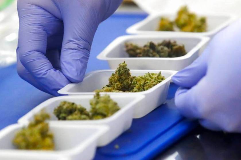 Lee más sobre el artículo «Porros por vacunas»: Washington busca aumentar inoculados contra el COVID-19