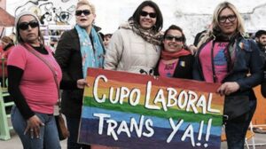 Lee más sobre el artículo Media sanción al proyecto de ley sobre cupo laboral travesti trans