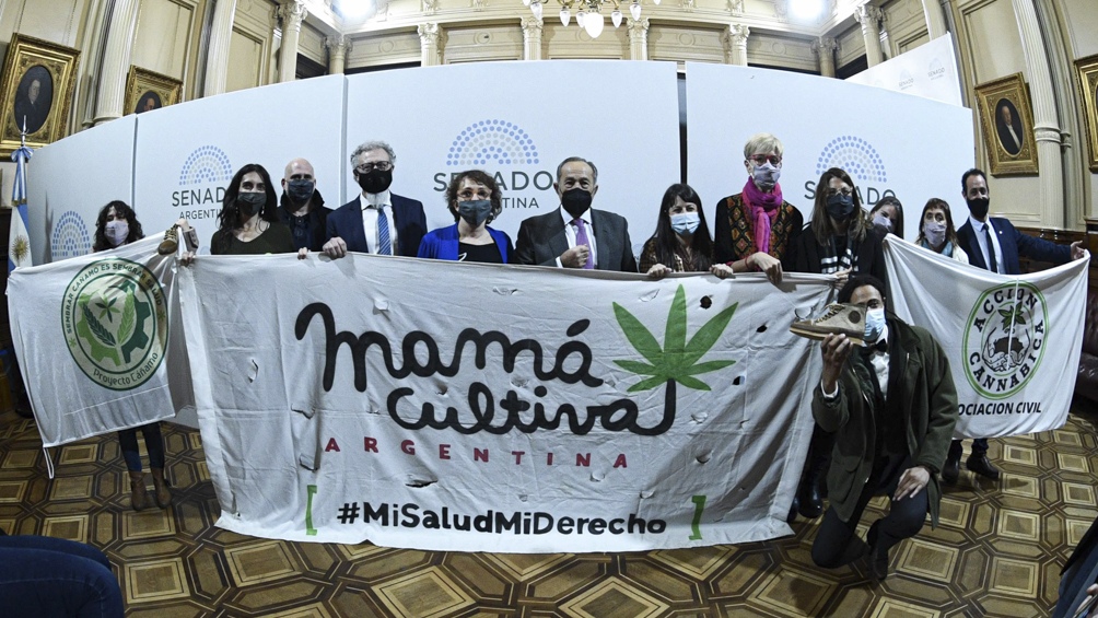 En este momento estás viendo El Senado aprobó la producción industrial de cannabis en Argentina