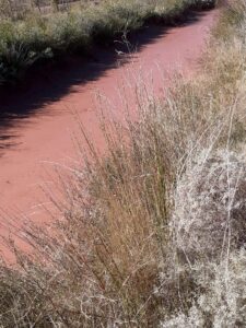 Lee más sobre el artículo “Tenemos problemas con respecto a la gran sequía y porque que tuvimos una gran tormenta que nos destruyó los canales de Rincón de Los Sauces”