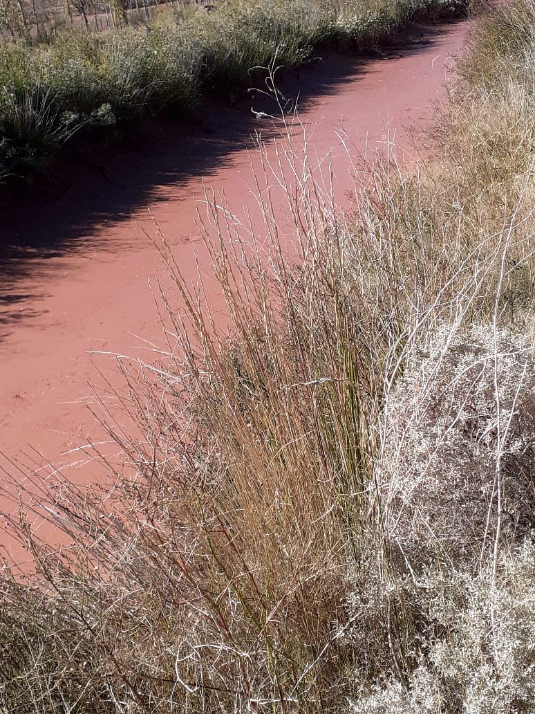 Lee más sobre el artículo “Tenemos problemas con respecto a la gran sequía y porque que tuvimos una gran tormenta que nos destruyó los canales de Rincón de Los Sauces”