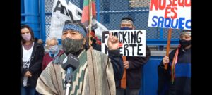 Lee más sobre el artículo “Es necesario que las autoridades públicas tomen medidas para frenar este desastre ambiental; tenemos que recurrir a cualquier método para ser escuchados”