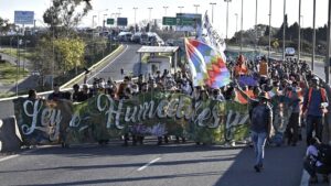 Lee más sobre el artículo Ambientalistas cortaron el puente Rosario-Victoria por los nuevos incendios en los humedales