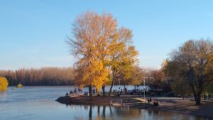 Lee más sobre el artículo “Estamos pensando en espacios verdes que se tienen que adecuar a toda la biodiversidad y condición topográfica”