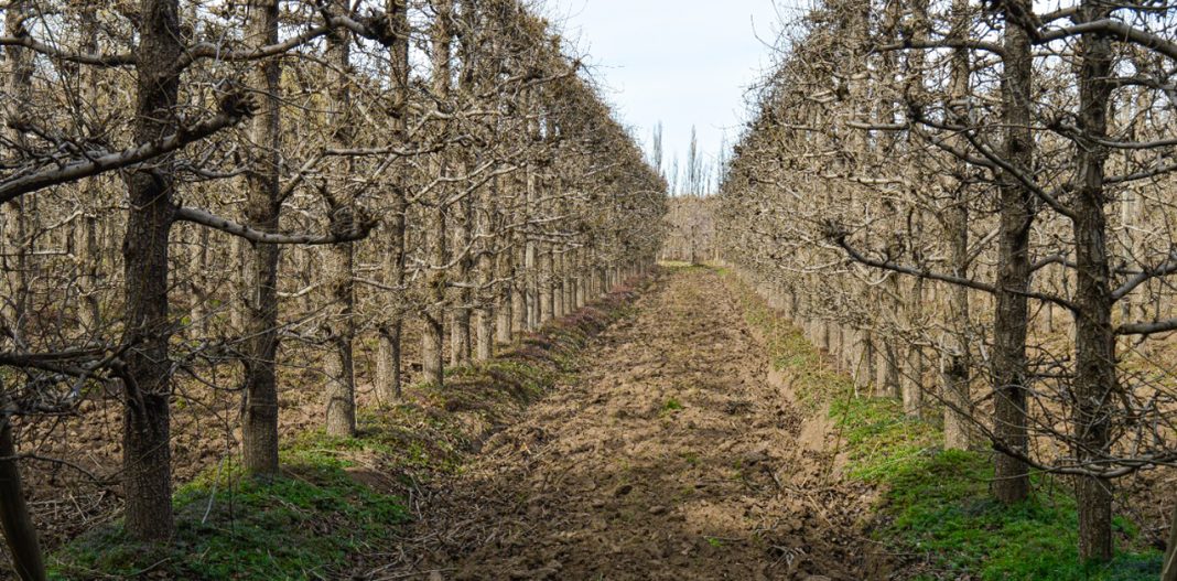 En este momento estás viendo Nación convalidó el decreto provincial de declaración de emergencia