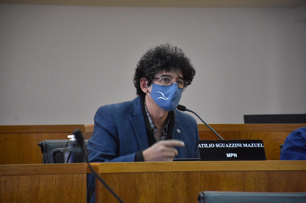 Lee más sobre el artículo “La enmienda es una oportunidad que tenemos las vecinas y vecinos de poder modernizar la Carta Orgánica”