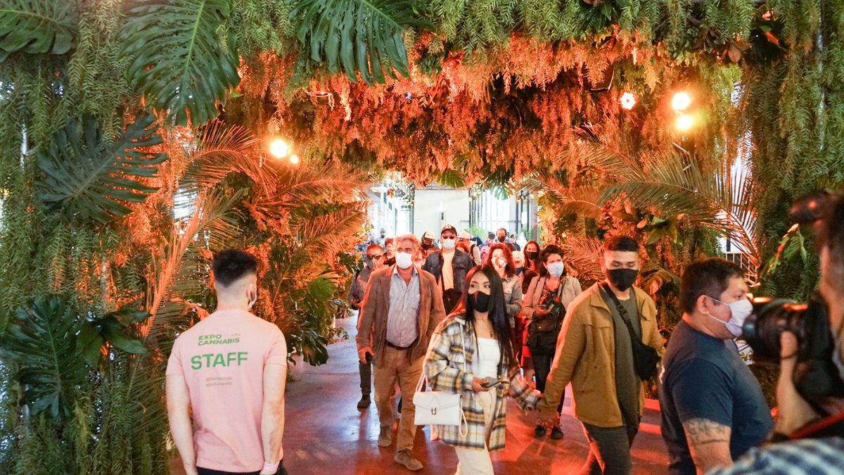 Lee más sobre el artículo “La idea de Expo Cannabis es que la gente pueda empoderarse lo más posible y expresar una solución integral”