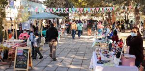 Lee más sobre el artículo Este fin de semana vuelve la Feria Germinar a la ex U9