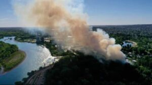 Lee más sobre el artículo Incendio en el Paseo de la Costa: ya fue sofocado e investigan si fue intencional