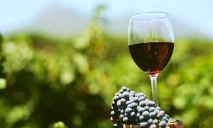 Lee más sobre el artículo Día Nacional del Vino con la Sommelier Vito Montero