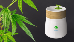 Lee más sobre el artículo “Pacientes y médicos tendrán mayor eficacia en los tratamientos terapéuticos del cannabis medicinal”