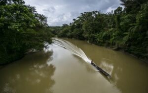 Lee más sobre el artículo COP26: por primera vez, pueblo indígenas recibirán 1.500 millones por proteger los bosques