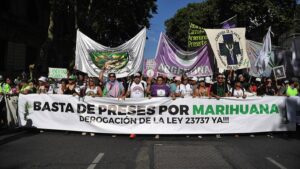 Lee más sobre el artículo Organizaciones cannábicas realizaron la Marcha Nacional de la Marihuana