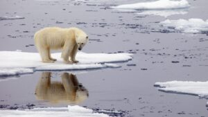 Lee más sobre el artículo El récord de calor en el Ártico «enciende las alarmas» sobre el cambio climático