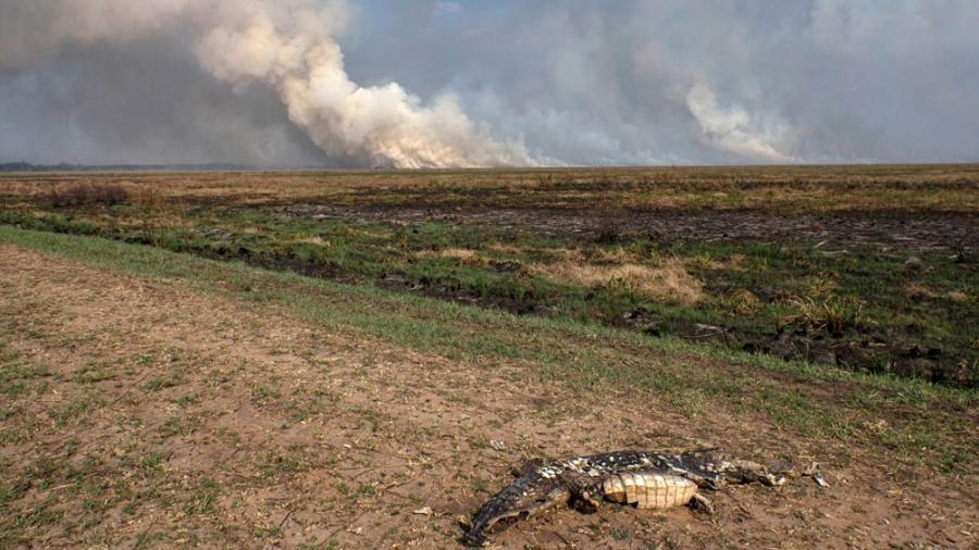 En este momento estás viendo Disminuyeron los focos de incendios en Corrientes, tras la llegada de la lluvia
