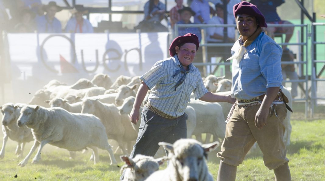 Lee más sobre el artículo Llega la 33ª Fiesta Nacional del Puestero de Junín de los Andes