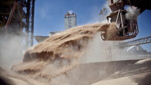 Lee más sobre el artículo La guerra en Ucrania impulsa fuertes subas en los precios de los granos