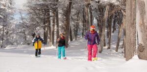 Lee más sobre el artículo Neuquén se muestra en el mercado uruguayo