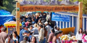 Lee más sobre el artículo Se viene la Fiesta Nacional del Pehuén en Semana Santa