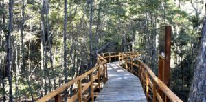 Lee más sobre el artículo Así es el nuevo sendero turístico inclusivo de Villa La Angostura