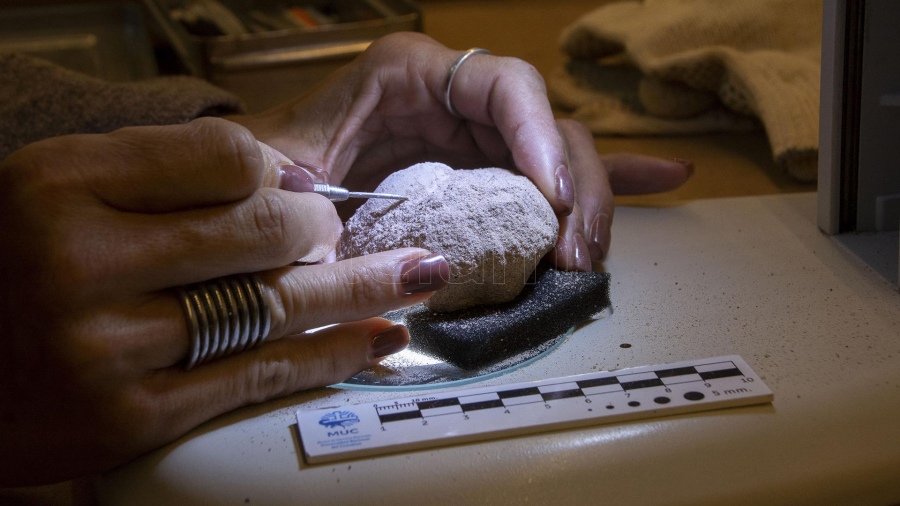 Lee más sobre el artículo Expondrán más de 200 huevos fósiles de aves cretácicas en la Universidad del Comahue