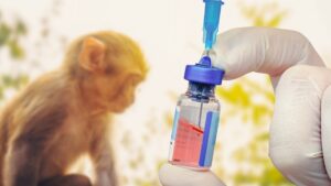 Lee más sobre el artículo La Unión Europea autorizó el uso de la vacuna Imvanex contra la viruela del mono