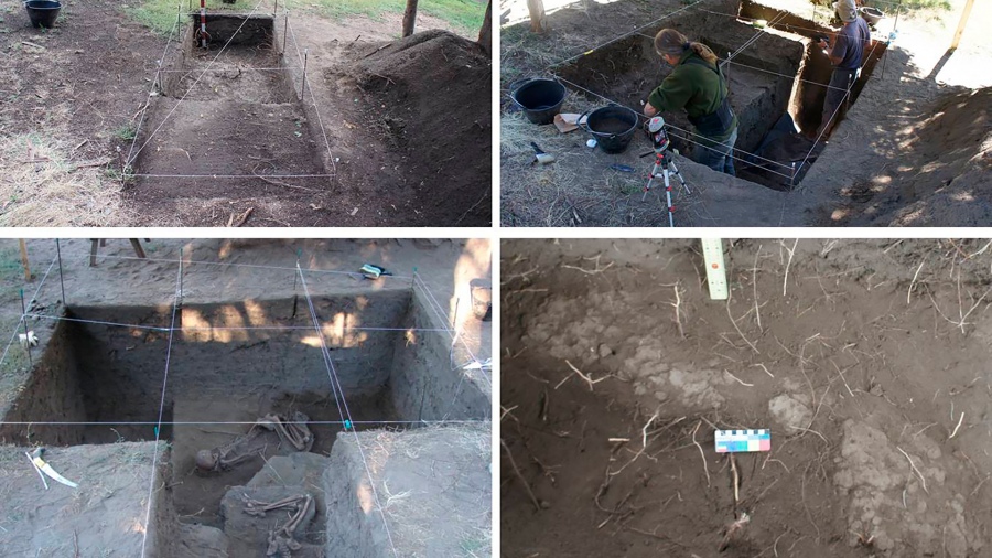 Lee más sobre el artículo Hallaron el primer enterramiento de una mujer mapuche en una canoa, con 900 años de antigüedad