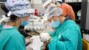 Lee más sobre el artículo Comenzó la Semana de la Salud Bucal