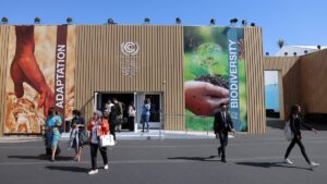 Lee más sobre el artículo La COP27 inició en Egipto con el acuerdo para debatir un fondo por los daños del cambio climático