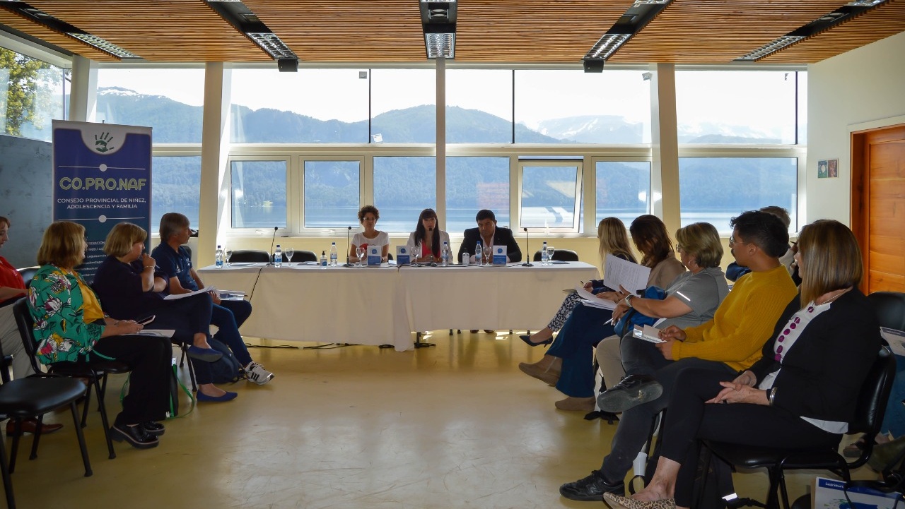 En este momento estás viendo El CoProNAF sesionó en Villa Traful