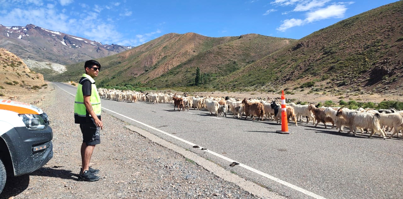 En este momento estás viendo Realizarán operativo de prevención durante el fin de semana largo