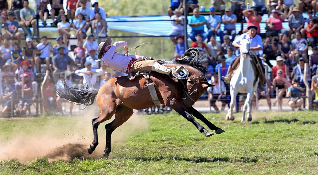 En este momento estás viendo Presentaron la 34º Fiesta Nacional del Puestero