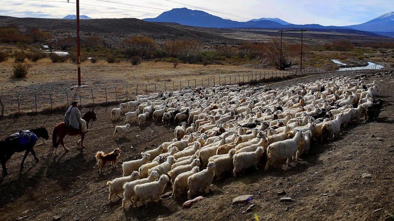 Lee más sobre el artículo Desembolsan más de $67 millones para proyectos de desarrollo rural