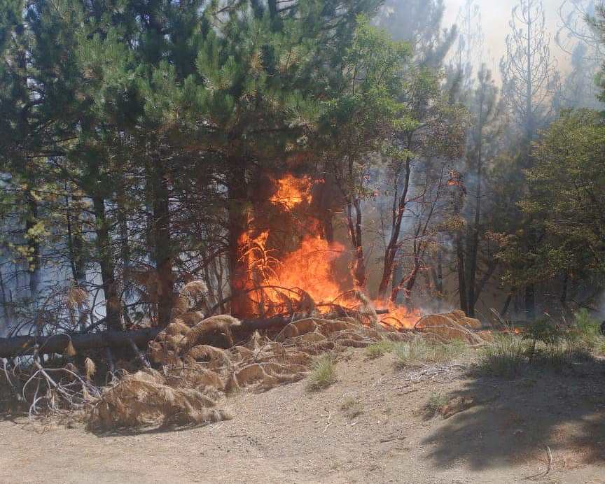 En este momento estás viendo Se empieza a contener el incendio forestal en Moquehue