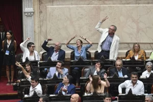 Lee más sobre el artículo La Cámara de Diputados convirtió en ley el proyecto de moratoria previsional