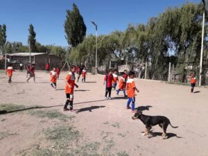 Lee más sobre el artículo “Con la plata que se gasta en una cancha de sintético haces 5 baños”