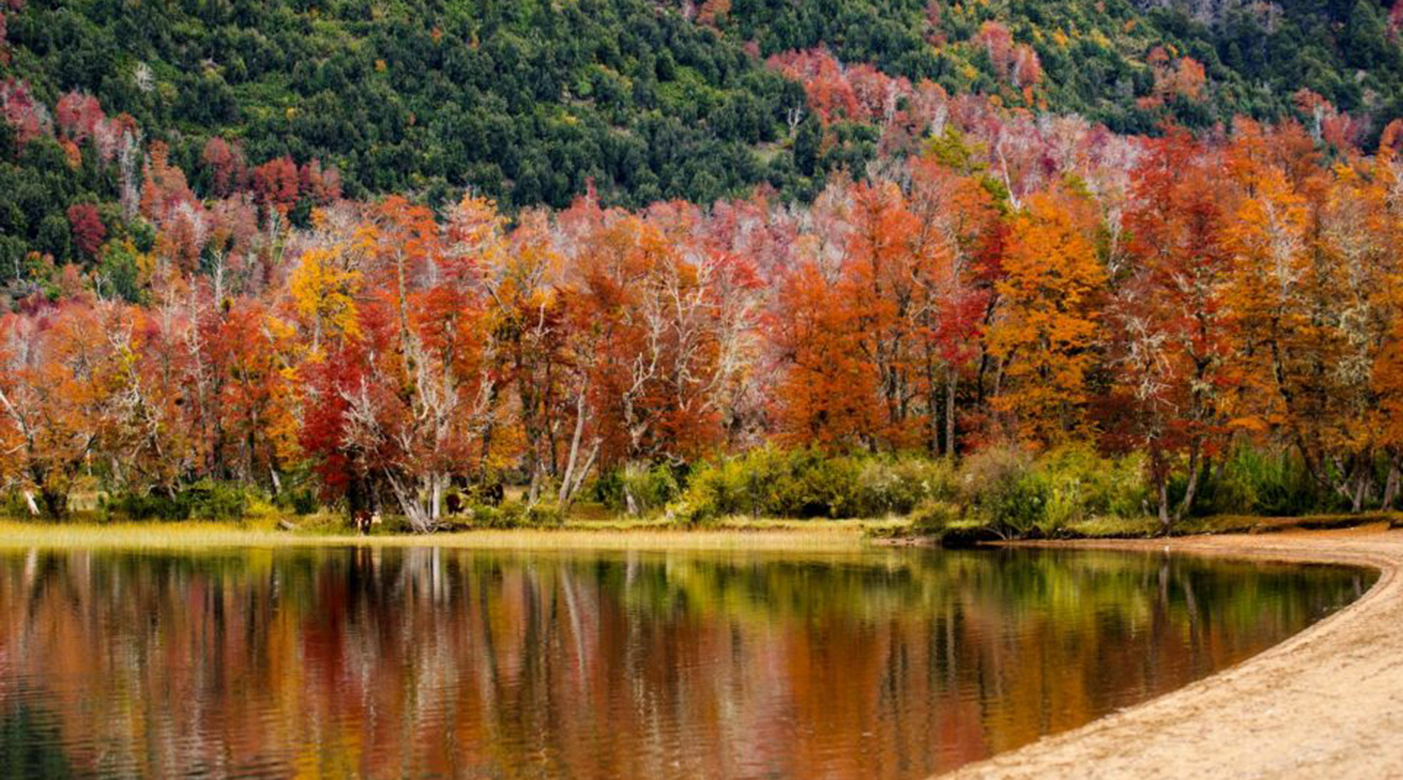 En este momento estás viendo Agenda de eventos de otoño en la provincia