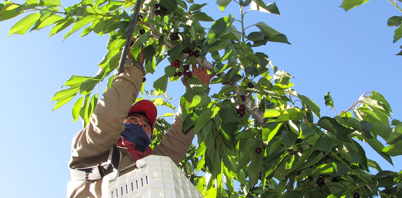 Lee más sobre el artículo Se viene Origen Neuquén, una muestra sobre la matriz productiva provincial