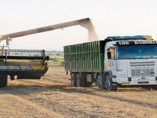 En este momento estás viendo Gobierno asegura que la liquidación de dólar soja se frenó por una promesa devaluatoria de Aracre a las cerealeras