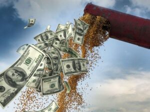 Lee más sobre el artículo Dólar agro: Gobierno apuesta a que ingresen u$s4.000 millones en las próximas semanas