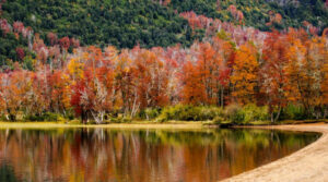 Lee más sobre el artículo Propuestas para disfrutar de Semana Santa en la Provincia