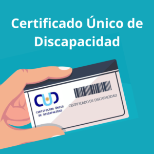 Lee más sobre el artículo Proponen que Neuquén adhiera al Certificado Único de Discapacidad