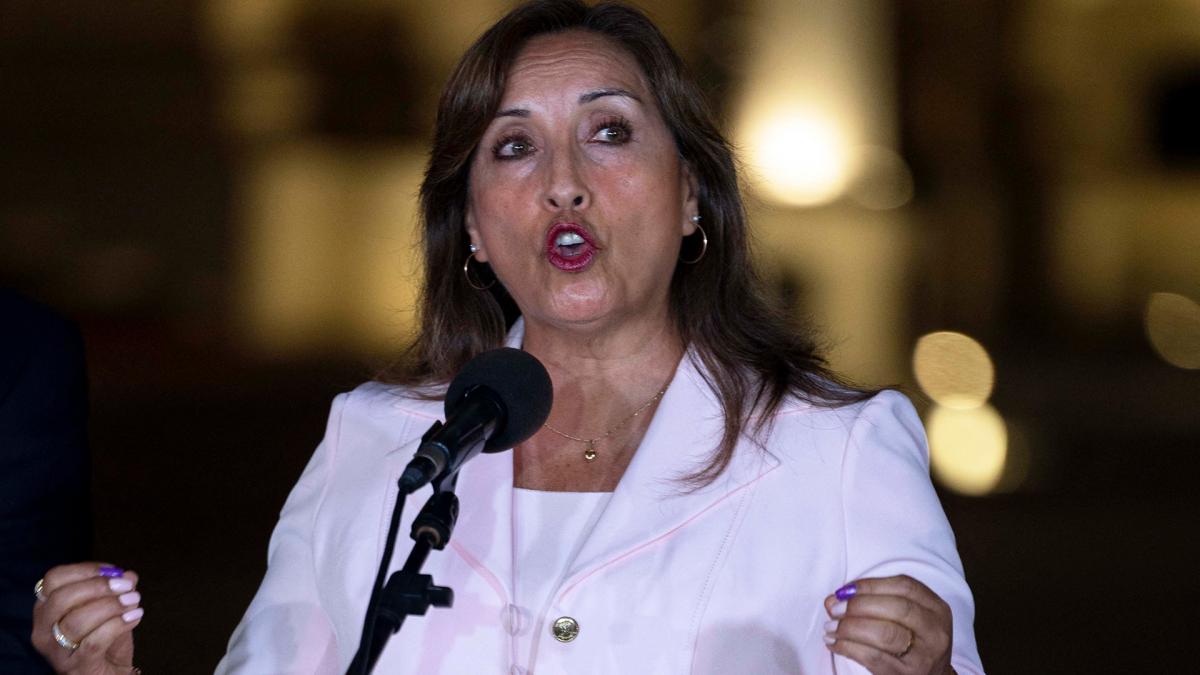 Lee más sobre el artículo Denunciaron que la presidenta de Perú plagió un libro que incluyó en su CV