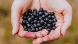 Lee más sobre el artículo Poder Antioxidante: El Superalimento que Protege el Corazón y es Afrodisíaco