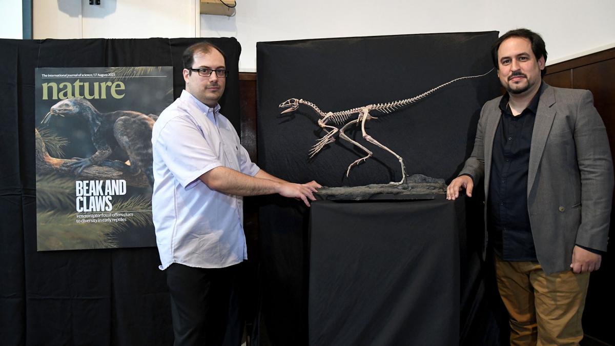 Lee más sobre el artículo Científicos del Conicet participaron del hallazgo de un reptil de 230 millones de años