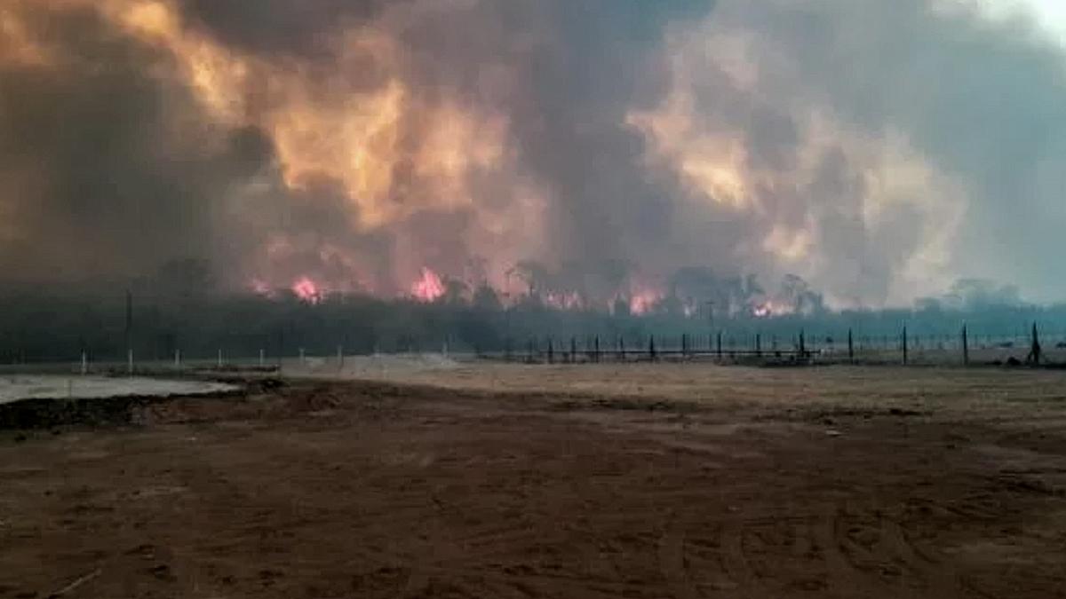 Lee más sobre el artículo Preocupación en Jujuy por la Oleada de Incendios: un Foco Activo en las Yungas