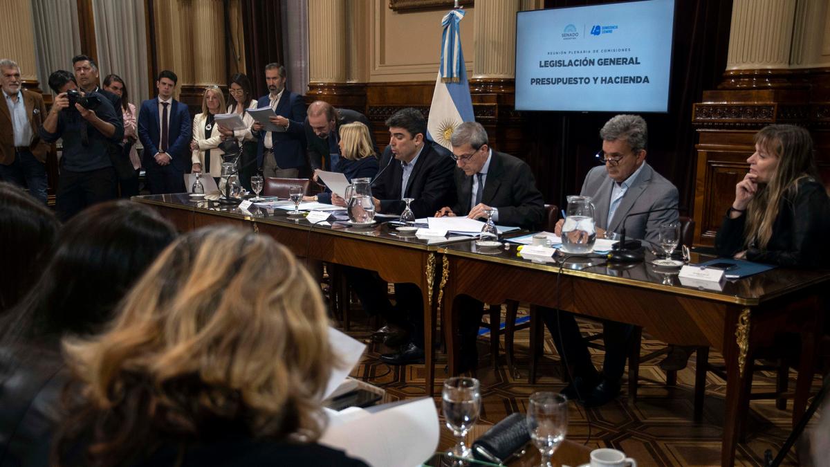 En este momento estás viendo Alquileres: qué propone el proyecto de reforma que obtuvo dictamen en el Senado